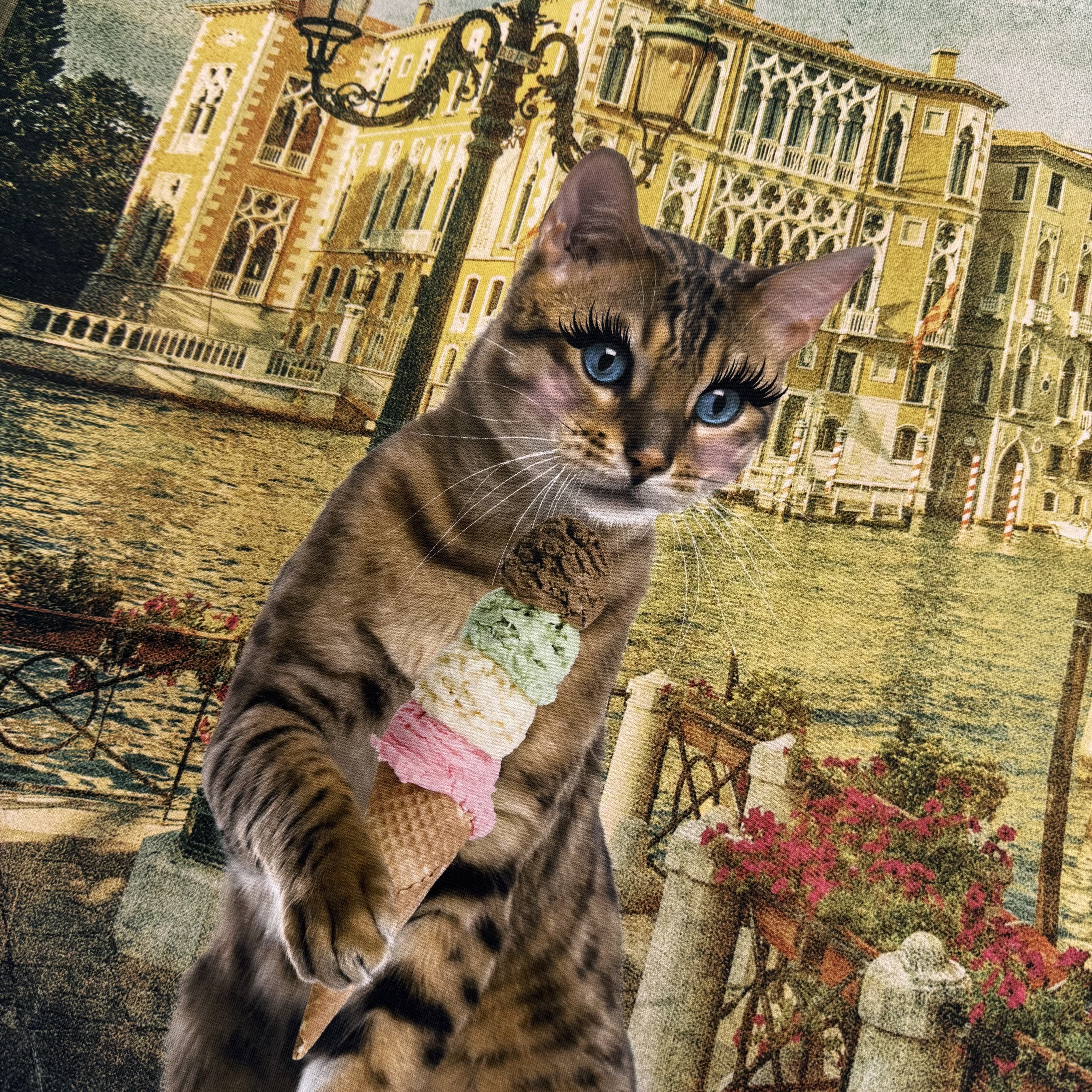 Panneaux Jersey et French Terry